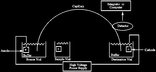 Principle of Capillary