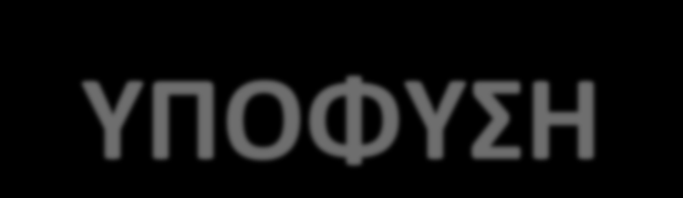 ΥΠΟΦΥΣΗ Ο πρόσθιος λοβός της υπόφυσης αυξάνει σε μέγεθος κατά μέσο όρο κατά 36% κατά τη διάρκεια της εγκυμοσύνης 10-πλάσια αύξηση στο μέγεθος και τον αριθμό lτων λακτοτρόπων κυττάρων Αυξημένο ύψος