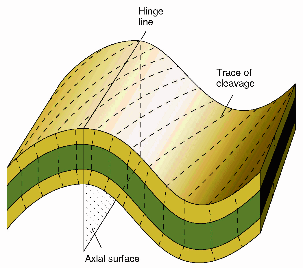 Foliation-transected fold Σε ορισμένες περιπτώσεις εμφανίζεται μια αξιοσημείωτη διαφορά στον προσανατολισμό αξονικού επιπέδου και σχισμού, παρότι υπάρχει γενετική σχέση πτυχής και φύλλωσης και δεν