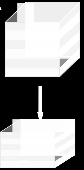 1. Compaction Cleavage Αποτελεί τον πρώτο σχισμό (continuous cleavage) που δημιουργείται από συμπύκνωση σε ένα