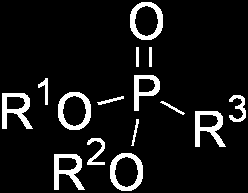 Διαφορές φωσφορυλάσης και άλλων φωσφοενζύμων Κατάταξη ενζύμου Αντίδραση Φωσφορυλάση Μεταφοράση (EC 2.4 και EC 2.7.