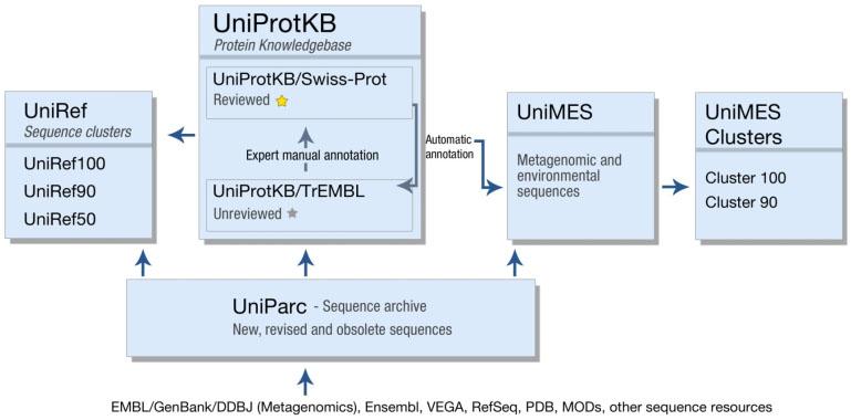 Πρωτογενείς ΒΔ ΒΔ Αμινοξικών ακολουθιών UniProt