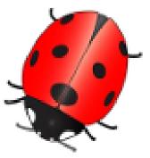 3 point problems - θέματα 3 μονάδων 1. Ladybird will sit on a flower that has five petals and three leaves. On which of the following flowers will ladybird sit?