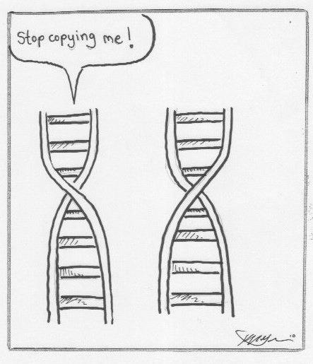 Next Generation Sequencing(NGS) ILLUMINA