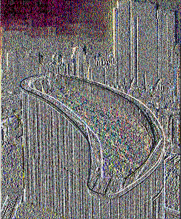 Φωτό 1.