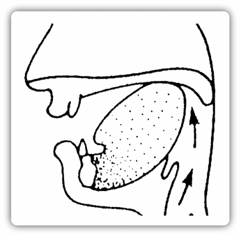 5. Letupan Lelangit Lembut Tidak Bersuara [ k ] 1. Belakang lidah dinaikkan dan dirapatkan pada lelangit lembut untuk membuat sekatan penuh pada arus udara yang keluar dari paru-paru ke rongga mulut.