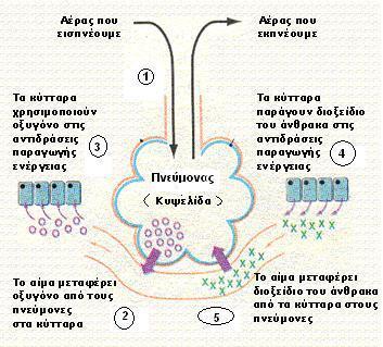 Η πορεία του αέρα συνεχίζεται και έξω από το ΑΝ.