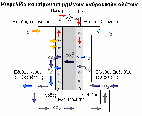 Σχήμα 2.9.:Τυπική λειτουργία μια κυψέλης MCFC [13]. 2 Άνοδος: H CO H O CO e 9 (2.16) 2 3 2 2 2 Κάθοδος: 1 2 O2 CO2 2e CO 2 3 (2.17) Ολική Αντίδραση: H2 1 O 2 2 H2O (2.