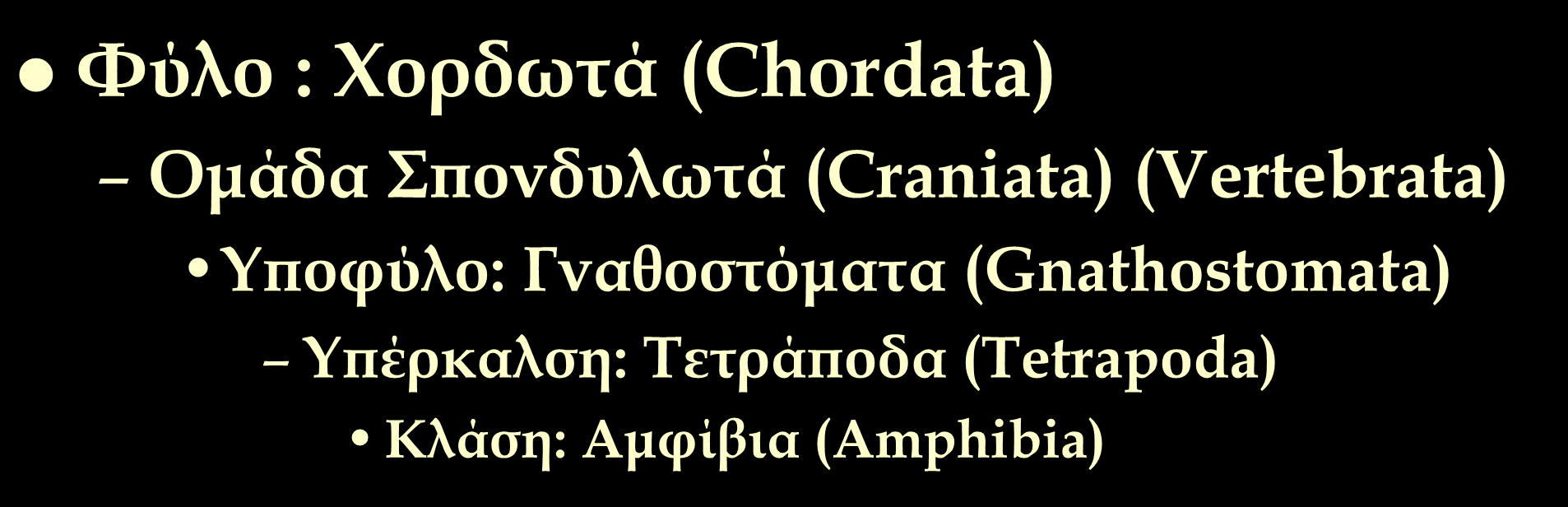 Φύλο : Χορδωτά (Chordata) Ομάδα Σπονδυλωτά (Craniata) (Vertebrata) Υποφύλο: