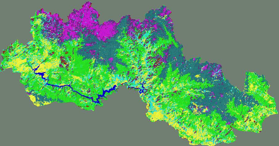 τα πλατύφυλλα > 1000 μέτρα σε Beech (Οξυά), 3. ενώ θα αφήσουμε ως έχει τα μεικτά δάση.