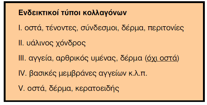 Το κολλαγόνο (μόνο οι ελικωτές περιοχές του) είναι ανθεκτικό σε διάσπαση από πρωτεϊνάσες, όχι όμως από τις κολλαγενάσες.