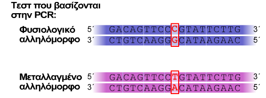Πολυμορφισμοί μήκους τμημάτων περιορισμού (RFLP), ανίχνευση μετά από αντίδραση PCR Προϋπόθεση είναι η αλληλουχία