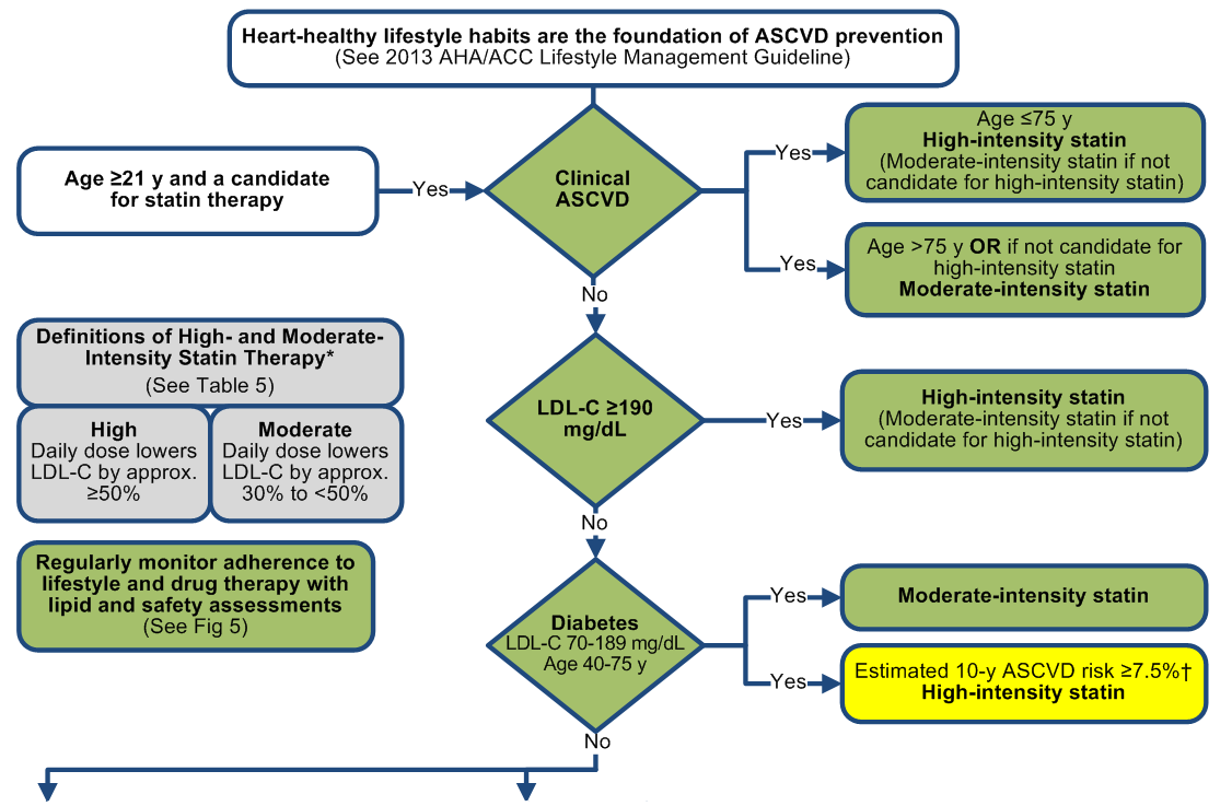 Summary of Statin Initiation