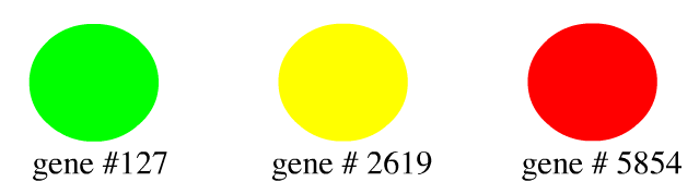 πείραμα cdna Microarray Ανάγνωση της μικροσυστοιχίας.