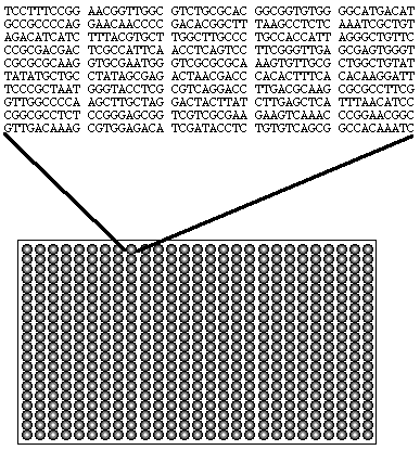 Κατασκευή μικροσυστοιχιών Spotted arrays εκ