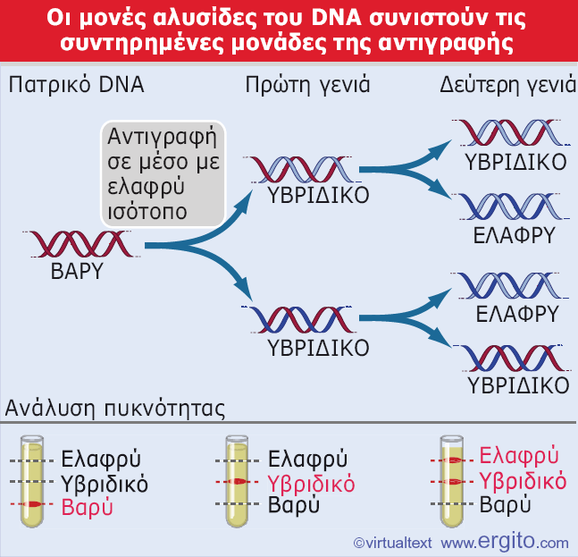 Εικόνα 1.