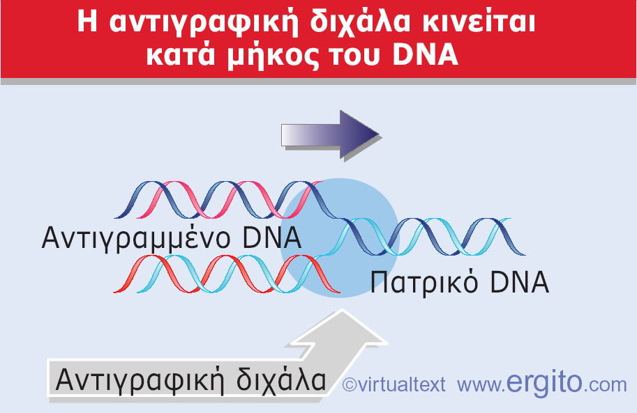 Εικόνα 1.