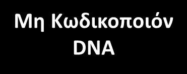 Το ευκαρυωτικό γονιδίωμα (9/9) Κωδικοποιόν DNA Μοναδικά Γονίδια Οικογένειες γονίδιων Ρυθμιστικές Αλληλουχίες Διεσπαρμένες Διαδοχικές