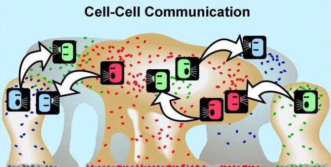 Quorum sensing είναι ένας ειδικός διακυτταρικός σηματοδοτικός μηχανισμός ο οποίος επιτρέπει στα