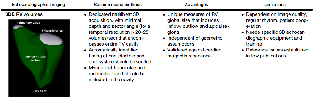 3D ECHO RV ASSESMENT