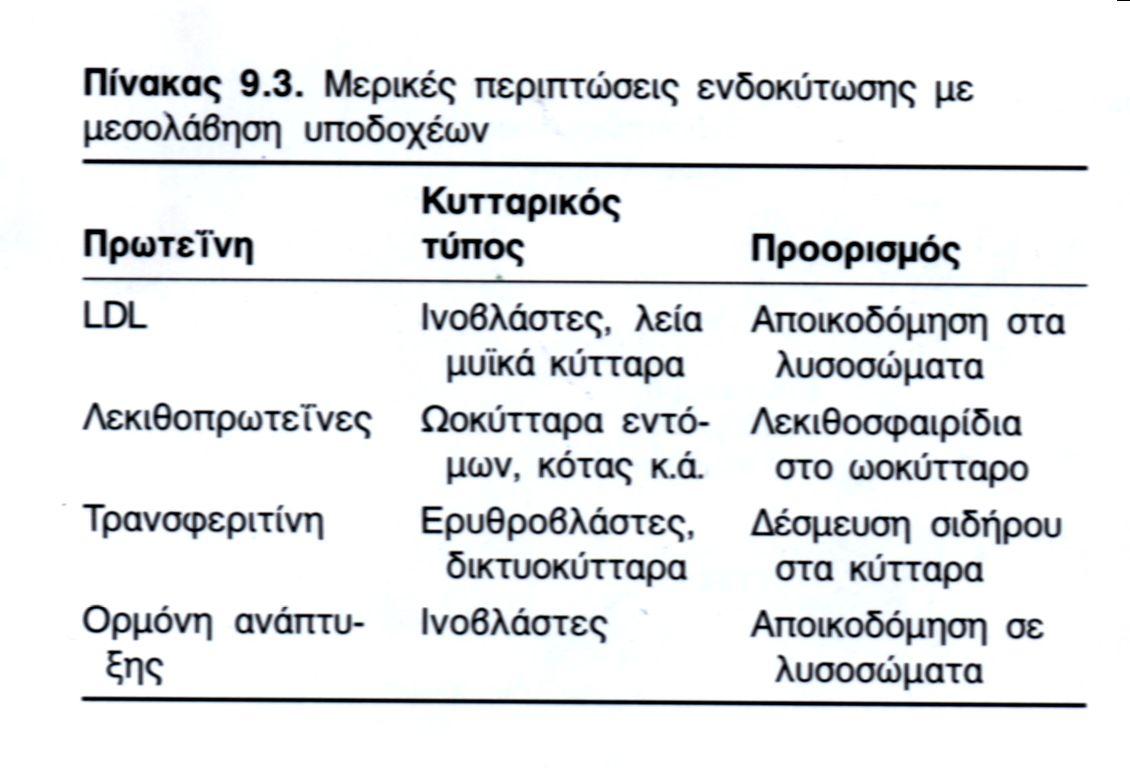 ωοκύτταρα όρνιθας) Συνήθης χρόνος εσωτερίκευσης προσλαμβανόμενης