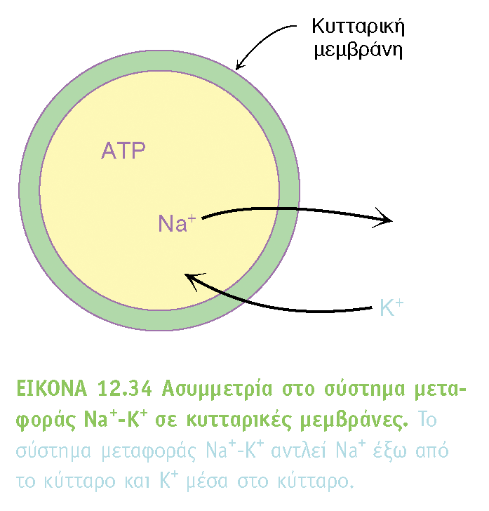 BIOXHMEIA, TOMOΣ I