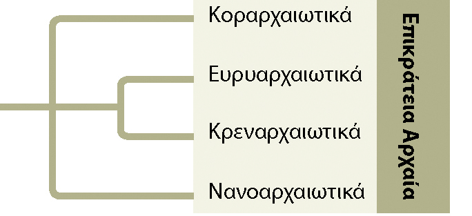 - 124 - Ακραία αλόφιλα (Ευρυαρχαιωτά, µεγάλο εύρος άλατος) Ακραία θερµόφιλα (Ευρυαρχαιωτά αλλά και Κρεναρχαιωτά, από την Κρήνη επειδή