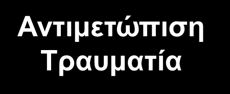 Επιχειρησιακή Επέμβαση Ασφάλεια Αντιμετώπιση Τραυματία Διακομιδή