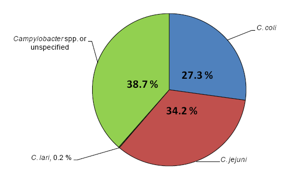 Η καταγραφείσα συχνότητα το 2011 για το Campylobacter παρέµεινε σταθερή µε τα περισσότερα περιστατικά να είναι σποραδικά, χωρίς να λείπουν και ανακοινώσεις για µικρές εστίες.