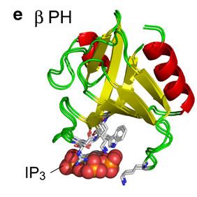 ΣΠΕΚΤΡΙΝΗ Actin-binding domain. Sequences equivalent to known actin binding sites in utrophin are shown in yellow. Note that this structure also binds 4.