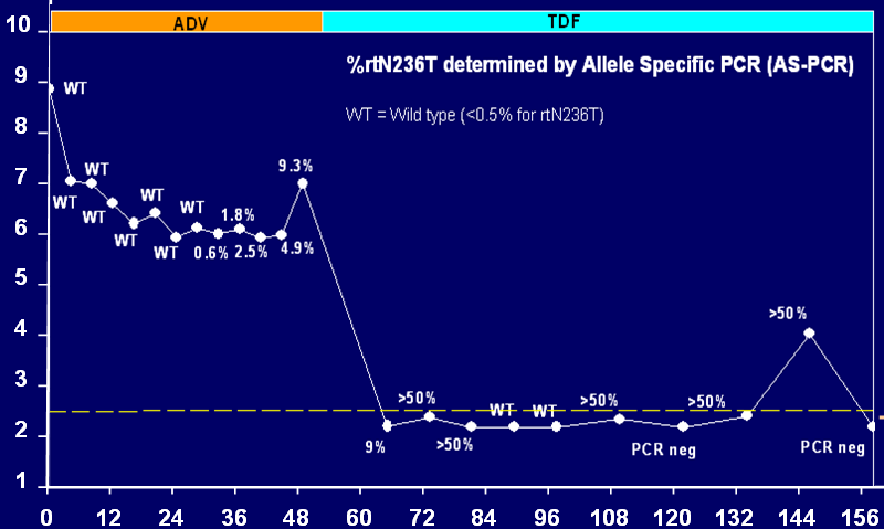 Evolution of Low Levels of rtn236t on ADV-TDF Therapy: Case Study of Patient E by Allele-Specific PCR Patient E Patient showed low-levels of rtn236t at termination of ADV monotherapy Switch to