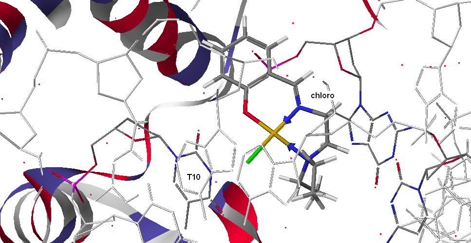 Cu(SalNEt 2 )- pivalate Σχήμα 24: Προσάραξη του Cu(SalNEt 2 )-pivalate στη DNA τοποϊσομεράση Ι Παρατηρούμενες αλληλεπιδράσεις: Πολικές αλληλεπιδράσεις μεταξύ του Ν 4 της Γουανίνης 12 και του Ν 14 του