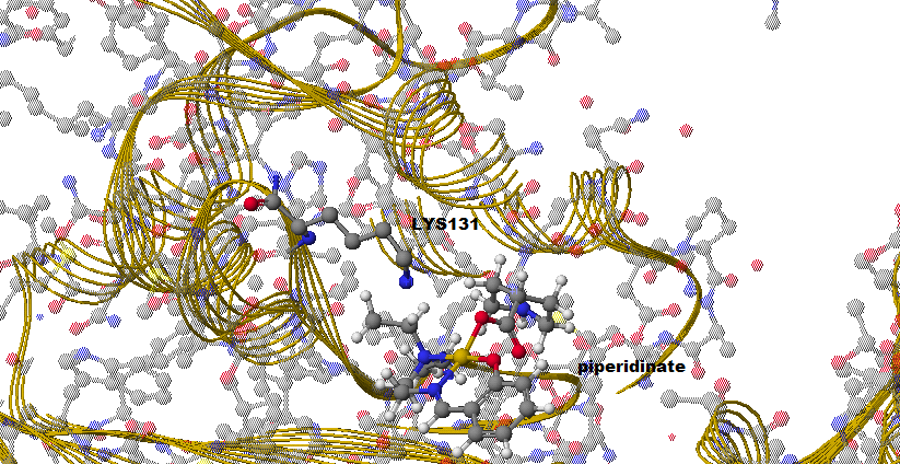 Cu(SalNEt 2 )-nicotinate Σχήμα 38: Προσάραξη του συμπλόκου Cu(SalNEt 2 )-nicotinate στη DNA τοποϊσομεράση ΙΙ.