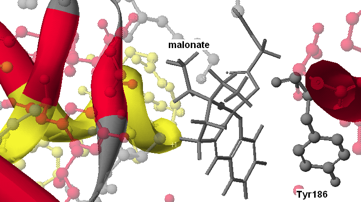 Cu(SalNEt 2 )-terepthalate Σχήμα 47: Προσάραξη του συμπλόκου Cu(SalNEt 2 )-terepthalate στη DNA τοποϊσομεράση ΙΙ. Δε σημειώνονται αλληλεπιδράσεις.