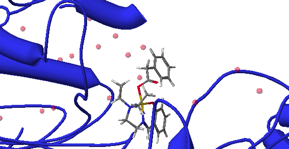 Cu(SalNEt 2 )-maleate Σχήμα 49: Προσάραξη του συμπλόκου Cu(SalNEt 2 )-maleate στη DNA τοποϊσομεράση ΙΙ.