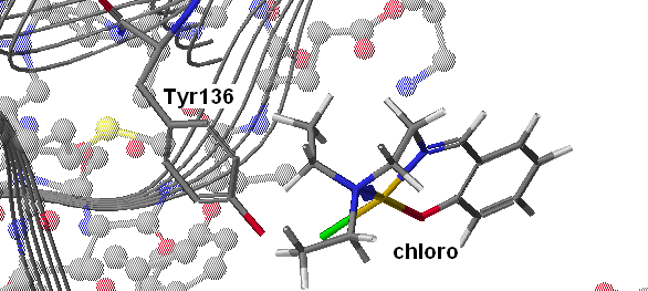 Cu(SalNEt 2 )-pivalate Σχήμα 54: Προσάραξη του συμπλόκου Cu(SalNEt 2 )-pivalate στη DNA τοποϊσομεράση ΙΙ. Καμία αλληλεπίδραση δε σημειώνεται.