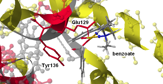 Cu(SalNEt 2 )-benzoate Σχήμα 56: Προσάραξη του συμπλόκου Cu(SalNEt 2 )-benzoate στη DNA τοποϊσομεράση ΙΙ.