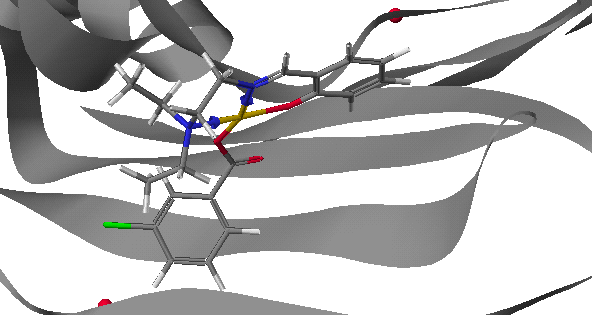 Cu(SalNEt 2 )-p-chlorobenzoate Σχήμα 57: Προσάραξη του συμπλόκου Cu(SalNEt 2 )-p-chlorobenzoate στη DNA τοποϊσομεράση ΙΙ.