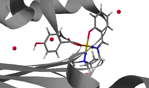 Cu(SalNEt 2 )-p-no 2 benzoate Σχήμα 59: Προσάραξη του συμπλόκου Cu(SalNEt 2 )-p-no 2 benzoate στη DNA τοποϊσομεράση ΙΙ.