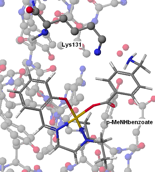 Cu(SalNEt 2 )-p-menhbenzoate Σχήμα 61: Προσάραξη του συμπλόκου Cu(SalNEt 2 )-p-menhbenzoate στη DNA τοποϊσομεράση ΙΙ.