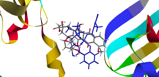 Δπηξνπβηθίλε - 2-Αληζνϊθό παξάγωγν Σρήκα 45: Πξνζάξαμε ηεο επηξνπβηθίλεο θαη ηνπ 2-αληζνϊθνύ παξαγώγνπ ζην ελεξγό θέληξν ηεο DNA ηνπνϊζνκεξάζεο ΙΙ.