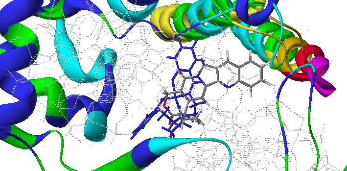 Σαιηθπιηθό παξάγωγν- Κακπηνζεθίλε Σρήκα 55: Πξνζάξαμε ηνπ ζαιηθπιηθνύ παξαγώγνπ ζην ελεξγό θέληξν ηεο DNA ηνπνϊζνκεξάζεο Ι- θσζικός αναζηολέας καμπηοθεκίνη.