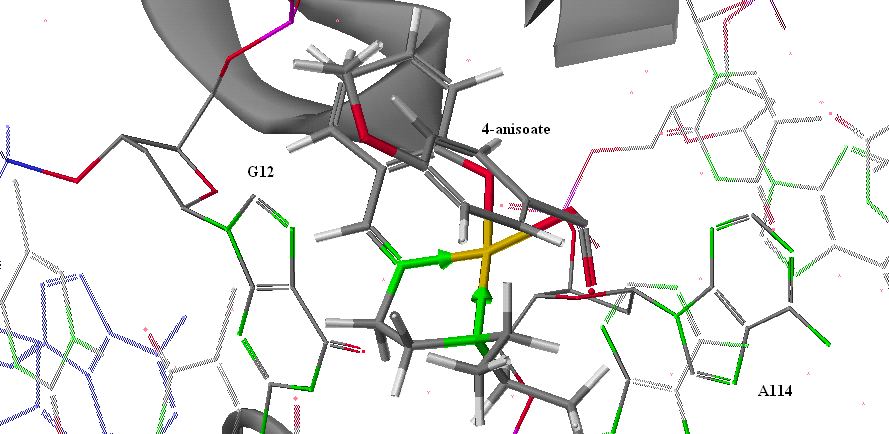 Cu(SalNEt 2 )-2-anisoate Σχήμα 1: Προσάραξη του Cu(SalNEt 2 )-2-anisoate στη DNA τοποϊσομεράση Ι Παρατηρούμενες αλληλεπιδράσεις: Δεσμός συναρμογής μεταξύ του Ν 7 της Γουανίνης 12 και του Cu 13 του