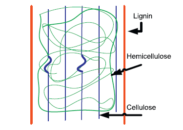 Εικόνα5. Σχηματική απεικόνιση της δομής των λιγνινοκυτταρινούχων υλικών [Carolina Conde-Mejía., 2011] 1.6.