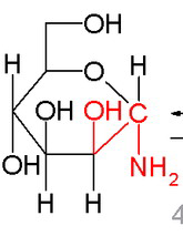 Reakcie monosacharidov Príprava N-glykozidov Amadori Nukleofilná adícia amínov na cukry poskytuje hemiaminály, ktorých dehydratáciou vznikajú N-acetály.