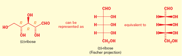 MNSACHARIDY Štruktúra a stereochémia Fischerova projekcia: CH navrchu a CH 2 naspodu vertikálne