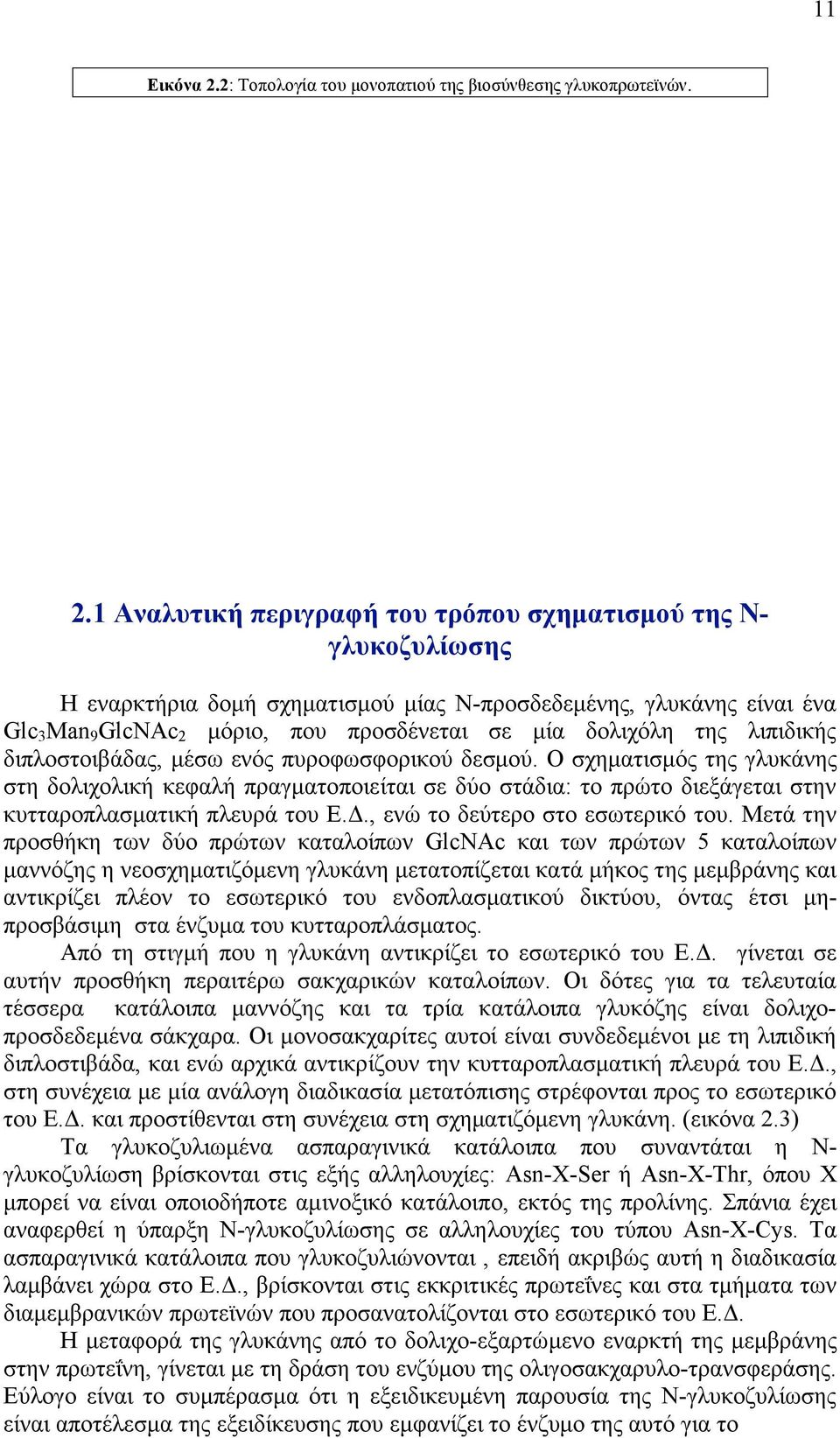 1 Αναλυτική περιγραφή του τρόπου σχηµατισµού της Ν- γλυκοζυλίωσης Η εναρκτήρια δοµή σχηµατισµού µίας Ν-προσδεδεµένης, γλυκάνης είναι ένα Glc 3 Man 9 GlcNAc 2 µόριο, που προσδένεται σε µία δολιχόλη