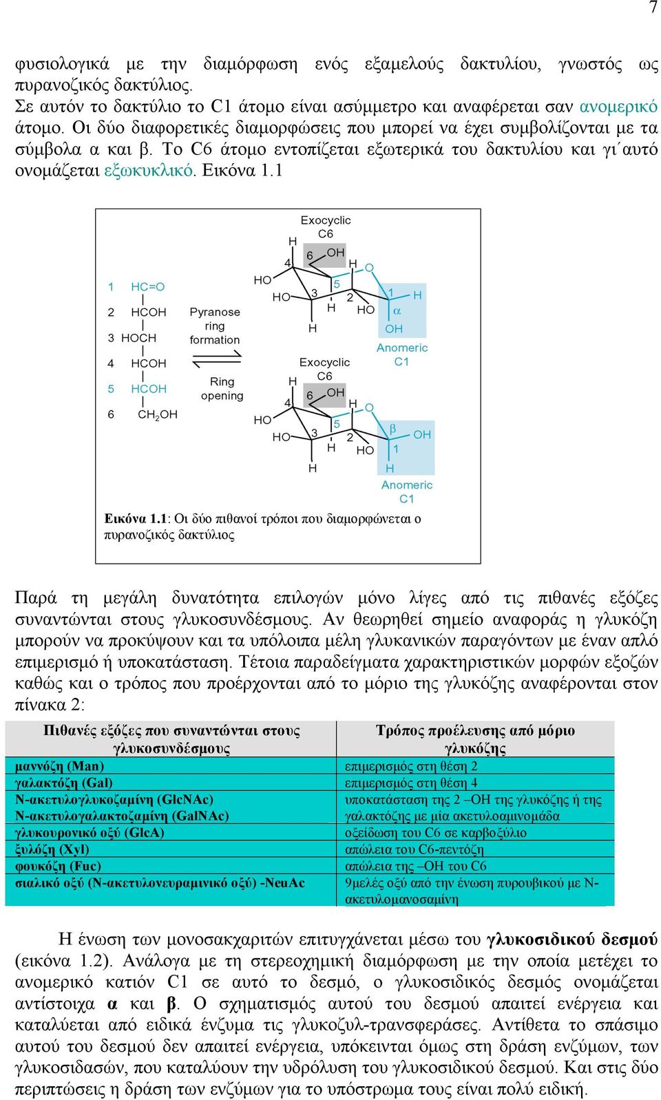 1: Οι δύο πιθανοί τρόποι που διαµορφώνεται ο πυρανοζικός δακτύλιος Παρά τη µεγάλη δυνατότητα επιλογών µόνο λίγες από τις πιθανές εξόζες συναντώνται στους γλυκοσυνδέσµους.