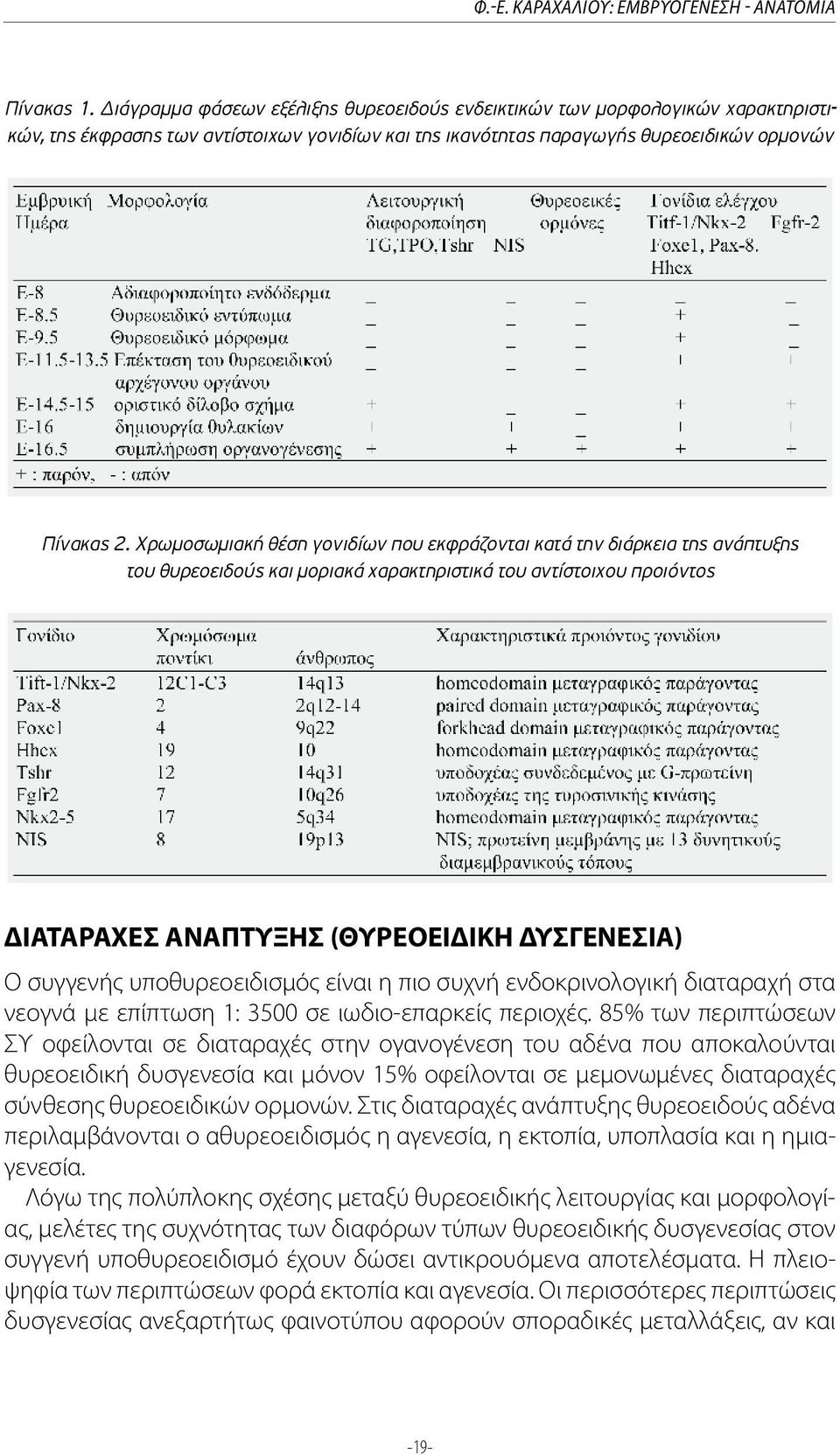 Χρωµοσωµιακή θέση γονιδίων που εκφράζονται κατά την διάρκεια της ανάπτυξης του θυρεοειδούς και µοριακά χαρακτηριστικά του αντίστοιχου προιόντος ΔΙΑΤΑΡΑΧΕΣ ΑΝΑΠΤΥΞΗΣ (ΘΥΡΕΟΕΙΔΙΚΗ ΔΥΣΓΕΝΕΣΙΑ) Ο