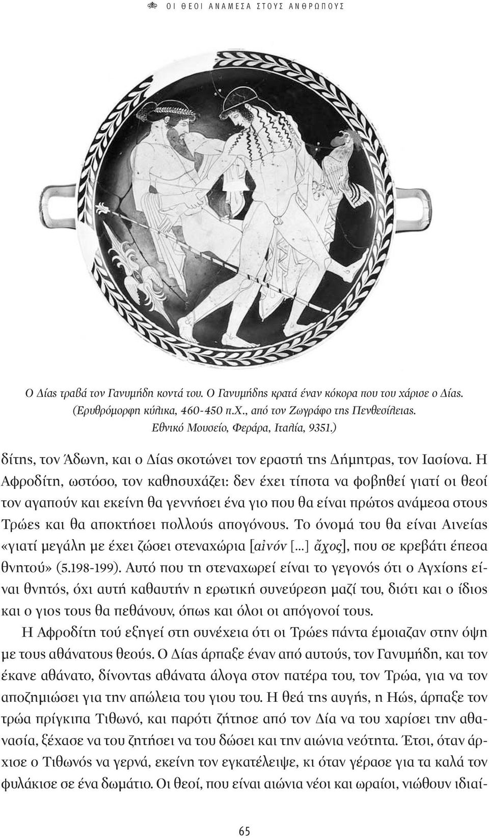 Η Αφροδίτη, ωστόσο, τον καθησυχάζει: δεν έχει τίποτα να φοβηθεί γιατί οι θεοί τον αγαπούν και εκείνη θα γεννήσει ένα γιο που θα είναι πρώτος ανάμεσα στους Τρώες και θα αποκτήσει πολλούς απογόνους.